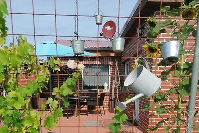 Vakantiehuis met 1 slaapkamer