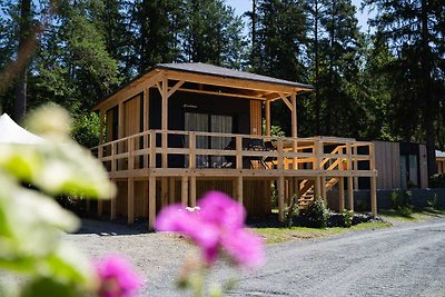 Luxe chalet met airco nabij Pressegger See