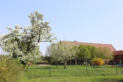 Ferienwohnung mit 1 Schlafzimmer