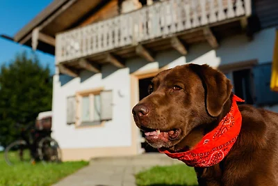 Ferienhaus im Landhausstil im Vital Camp...