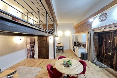 Appartement in het hart van Toulouse