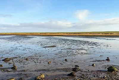 4 Sterne Ferienhaus in Højer