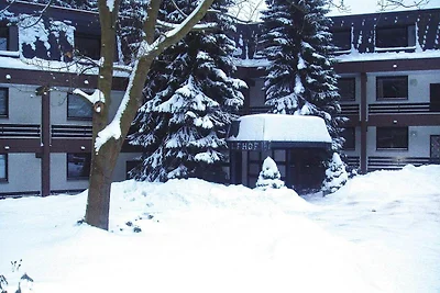 Ferienwohnungen in Winterberg