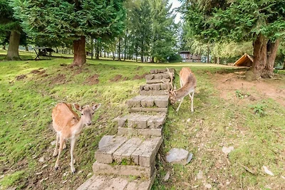Vakanzenhaus zu Houffalize Mat Terrass