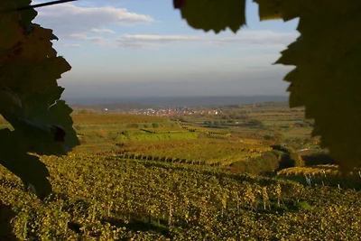 Azienda vinicola Jürgen Walz