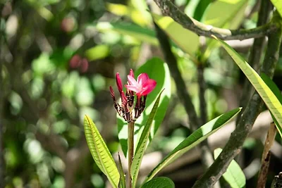 Maisons & Villas für 4 Personen