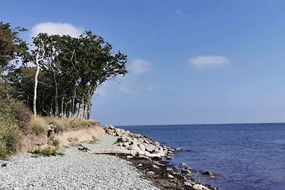 8 Personen Ferienhaus in Bagenkop