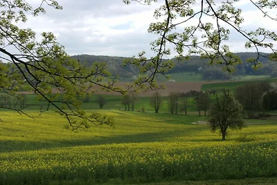 Dom Pasterza Wallbach