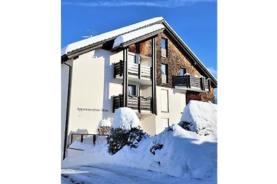 Ferienwohnung in Titisee mit Wifi