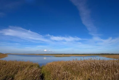 8 Personen Ferienhaus in Blåvand