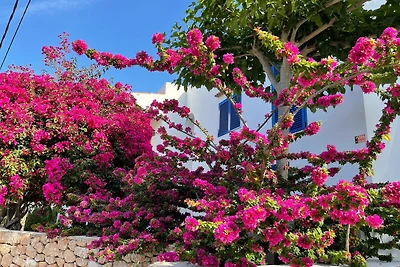 Garten (Sommer) Garten (Sommer)