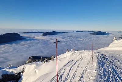 Duplex-Studio nahe Skibus-Haltestelle