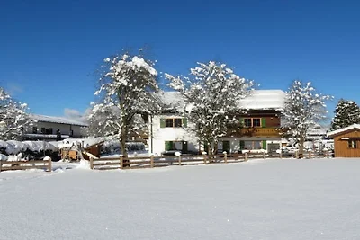 Uitzicht op de Alpen vanuit het Thiele-huis.
