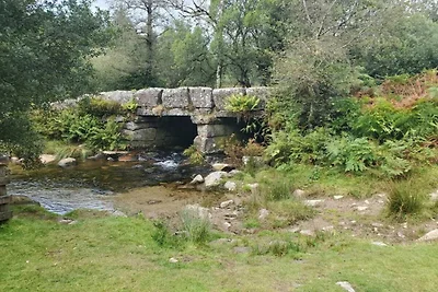 Lodge in Bovey Tracey mit Pool & Natur