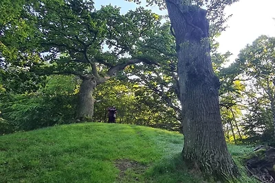 4 Personen Ferienhaus in Faxe Ladeplads-By...