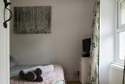 Gezellig huisdiervriendelijk huisje in Snowdo...
