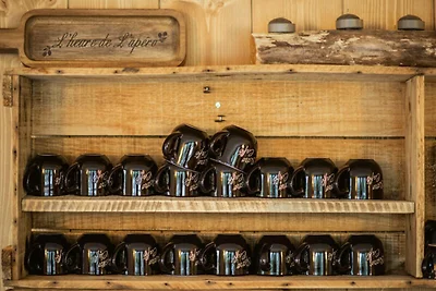 Wohnung in Champagny nahe Skiliften