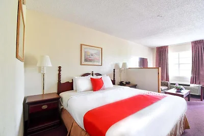 Premium-Kingsize-Bett | Tyler, Texas