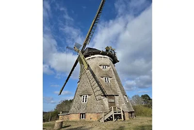 Ferienwohnung in Benz mit Schwimmbecken