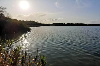 6 Personen Ferienhaus in Ansager-By Traum