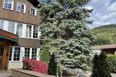 Maison « Penthouse » Zellerwirt