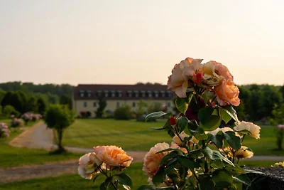 Jurjevec Castle - Standard room 4