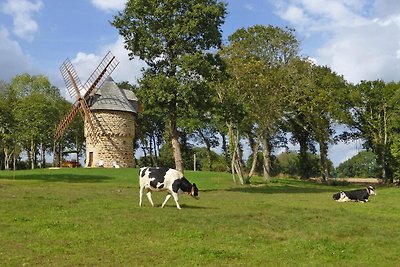 Urige Windmühle, Gommenec'h