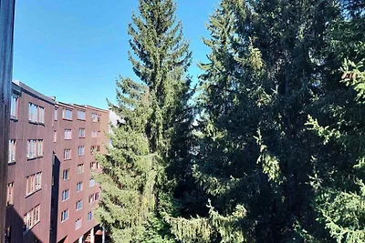 Monolocale per 3 persone, vicino alle piste e...