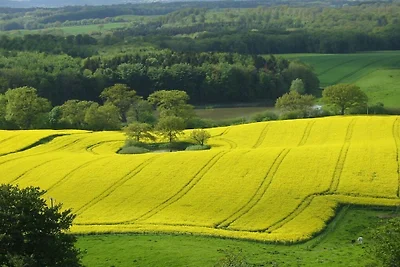 Panorama di Bunny