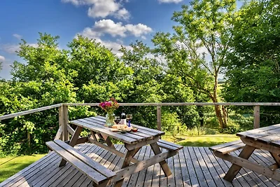 Milieuvriendelijk chalet in Okehampton, Geen...