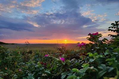 5 Personen Ferienhaus in Skjern-By Traum