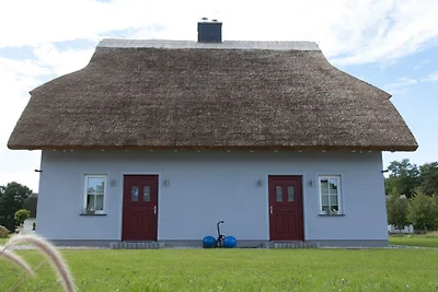 Ferienhaus in Zirchow mit Barbecue