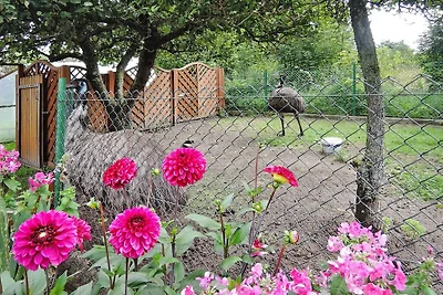 Schönes Ferienhaus mit umzäunten Garten,...