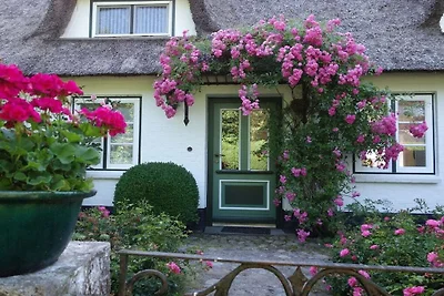 "The Coachman's Cottage"