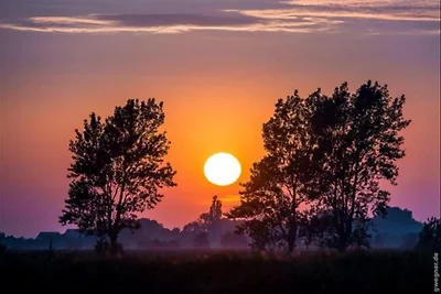 Ferienwohnung in Orth auf Fehmarn