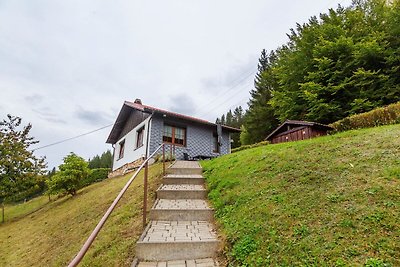 Gemütliches Cottage in Langenbach Thüringen i...
