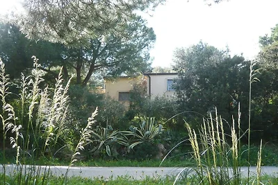 Casa Furrer Terranera