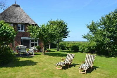 Vakantiehuis in Alkersum met zwembad