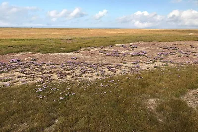 6 Personen Ferienhaus in Læsø-By Traum