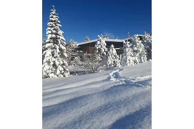 Chalet Zeller 1