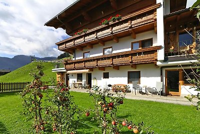 Appartement in Hippach im Zillertal met...