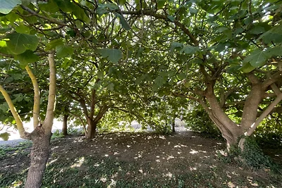 Appartamento vicino alle spiagge di Valras