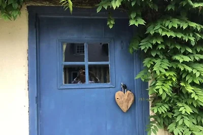 ||---Maison de Suzon---||