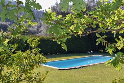 Ruhiges Ferienhaus mit eigenem Pool in Ponte ...