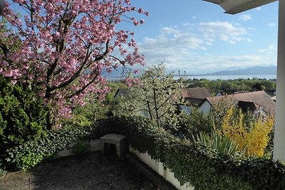 Hanssen in Lindau aan het Bodenmeer