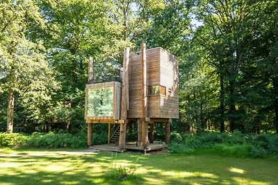 Baumhaus bei Tournai mit Sauna