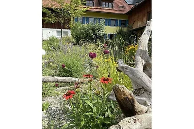Böllenburg Komfortable Ferienresidenz