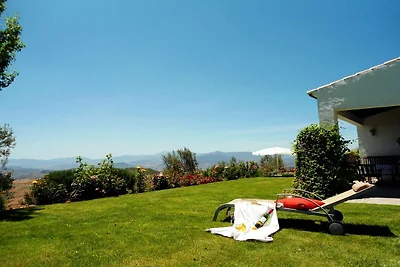 Garten (Sommer) Garten (Sommer)