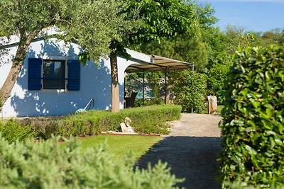 Vakantiehuis in Dobrinj met zwembad