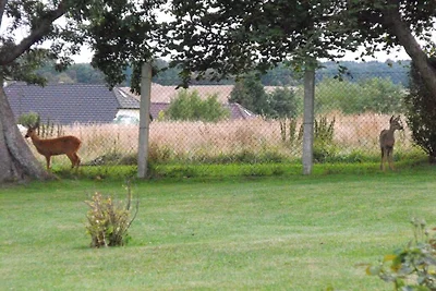 Ferienwohnung mit 1 Schlafzimmer